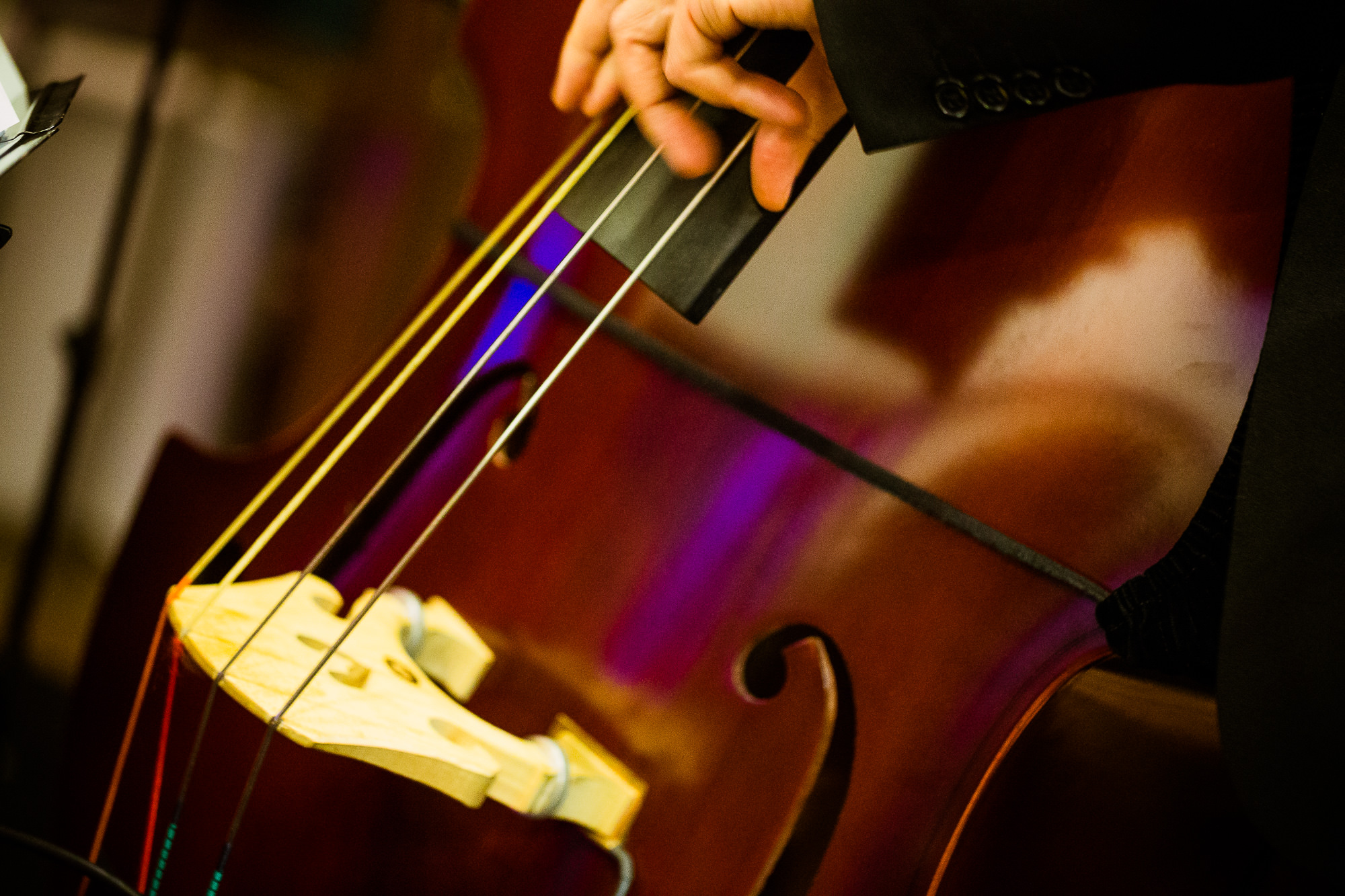 Export x3 1DX 9306 Businessauftrag Complementa 2014